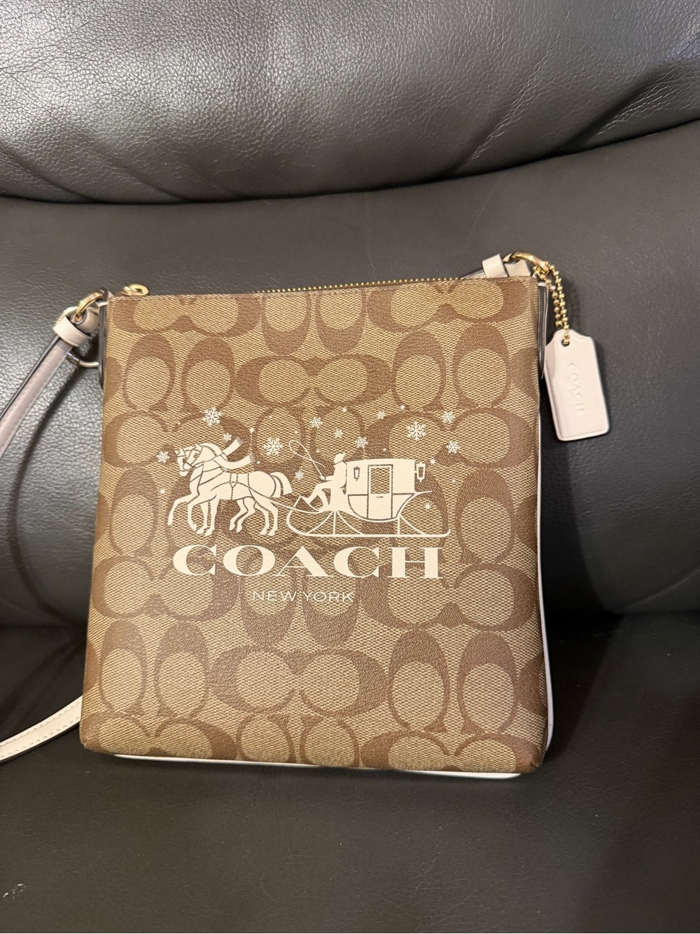 Coach Mini Rowan File Bag in Signature Canvas